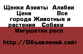 Щенки Азиаты (Алабаи) › Цена ­ 20 000 - Все города Животные и растения » Собаки   . Ингушетия респ.